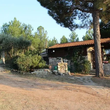 Будинок відпочинку House In 2,5 Acres Near Suburban Forest.