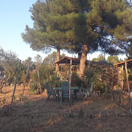 House In 2,5 Acres Near Suburban Forest. *